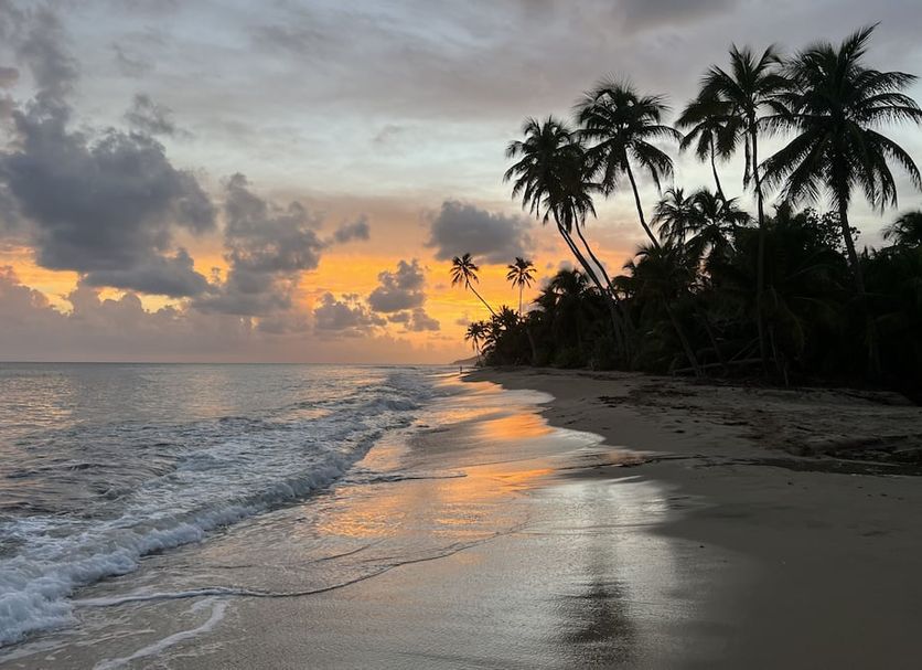 Strand Billede