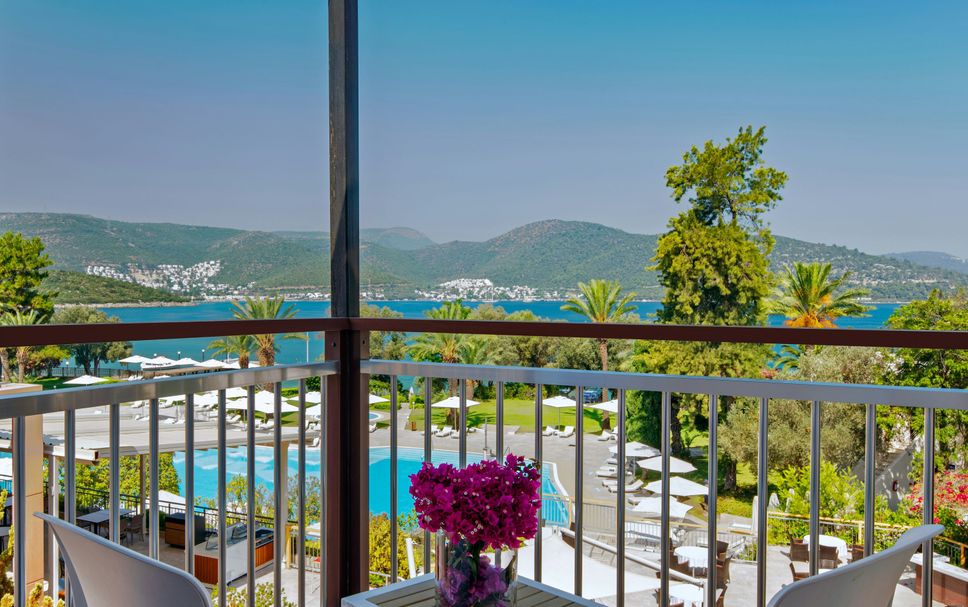 Balkon Billede