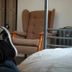 Andet