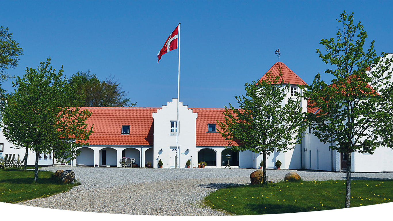 Primært billede