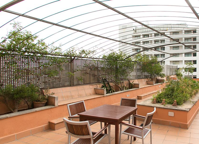 Patio Billede
